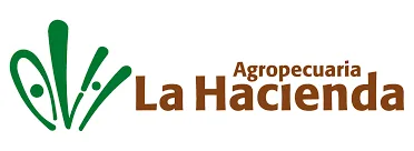 Marcas con las que hemos trabajado